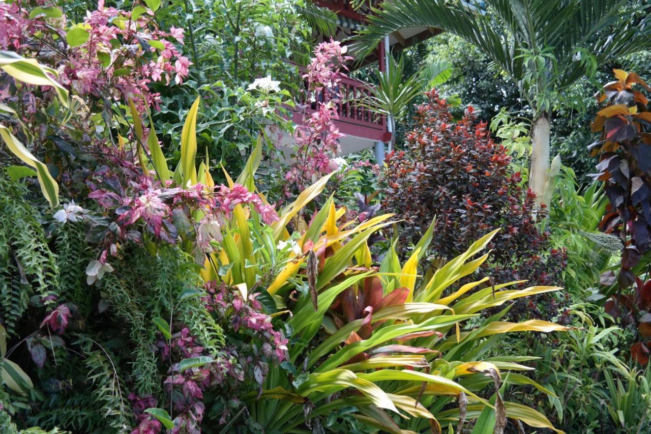 Muri Retreat Apartments Đảo Đảo Rarotonga Ngoại thất bức ảnh