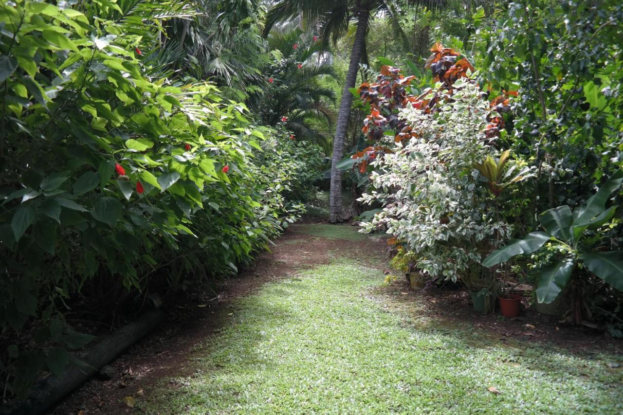 Muri Retreat Apartments Đảo Đảo Rarotonga Ngoại thất bức ảnh